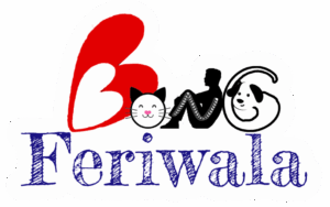 cropped bong feriwala logo sq